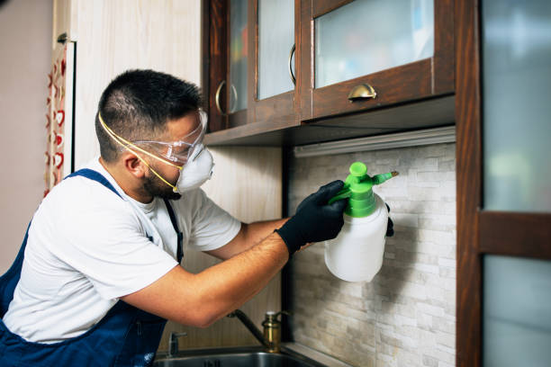 Best Pest Prevention Services  in Orangeville, UT