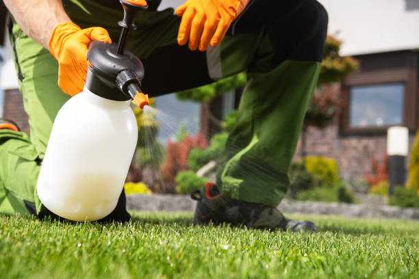 Best Pest Removal Services  in Orangeville, UT