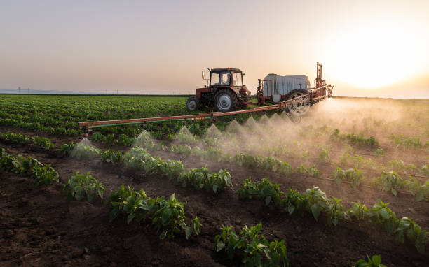 Best Mosquito Control Services  in Orangeville, UT