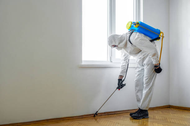 Trusted Orangeville, UT Pest Control Experts