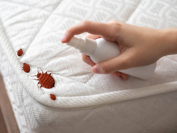 Best Cockroach Control Services  in Orangeville, UT