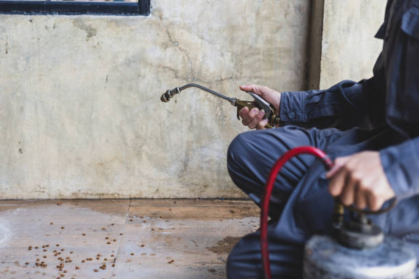 Best Pest Control Treatment  in Orangeville, UT