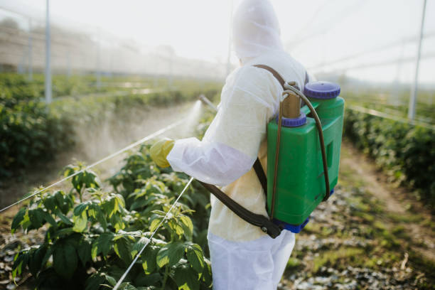 Best Pest Control Near Me in Orangeville, UT
